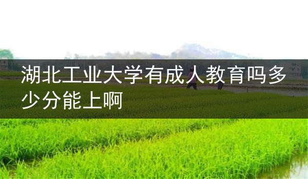 湖北工业大学有成人教育吗多少分能上啊