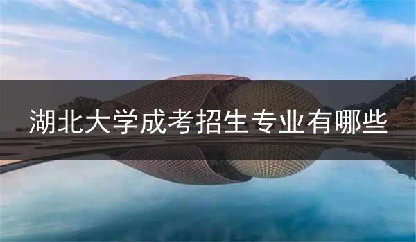 湖北大学成考招生专业有哪些