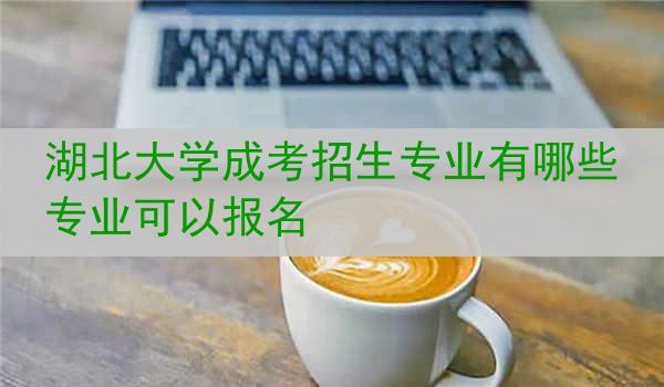 湖北大学成考招生专业有哪些专业可以报名