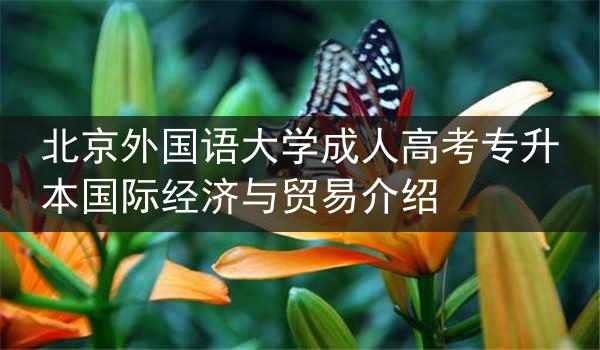 北京外国语大学成人高考专升本国际经济与贸易介绍