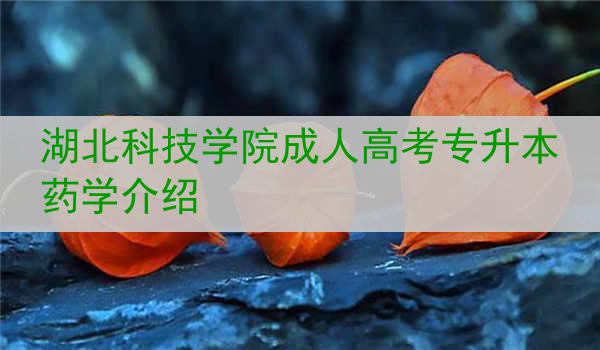 湖北科技学院成人高考专升本药学介绍