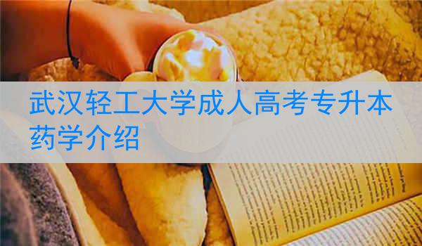 武汉轻工大学成人高考专升本药学介绍