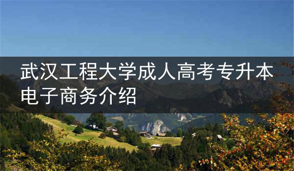 武汉工程大学成人高考专升本电子商务介绍