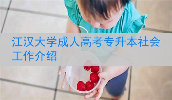 江汉大学成人高考专升本社会工作介绍