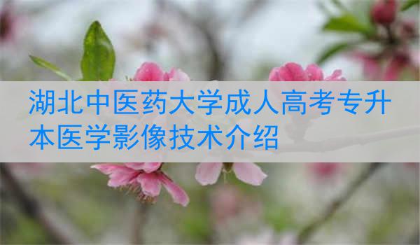 湖北中医药大学成人高考专升本医学影像技术介绍